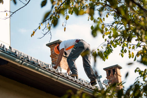 Best Flat Roof Repair Services  in Cera, AL